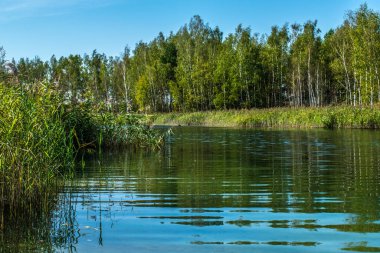 Yazın sonunda ağaçlar ve çimenler sararır. Ama hala sıcak ve doğada rahatlayabilirsin.