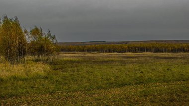 Düş! Ekim. Her şey sarardı. Ağaçlardaki yapraklar sarardı çimenler ve çalılar sarardı. Kasvetli gökyüzünün arka planında her şey sarıdır.