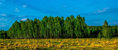 Nisan sonu. Her şey huş ağaçlarında taze yapraklar açar. Taze yeşil, geçen yılın solmuş çimlerini delip geçiyor. Sıcak hava.