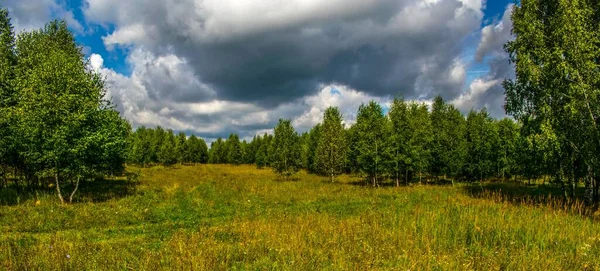 Summer August Walk Woods Clouds Spotlight Seem Cover Starting Turn — Stock Photo, Image