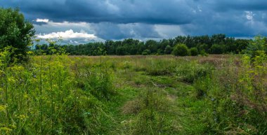 Sıcak bir yaz günü. Gökyüzü bulutlarla kaplı. Yakında yağmur yağacak.