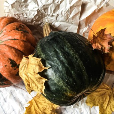 Üç renkli balkabağı. Parlak sebzeler. Duvar kağıdı, arkaplan ve kartpostal.