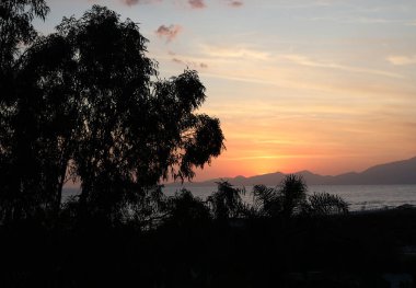 Denizde portakal rengi güzel bir gün batımı. Palmiyelerin arasından dağlara bak. Rahatlatıcı bir yer. Deniz kenarında gün batımını bekle. Romantik plaj. Duvar kağıdı ve arkaplan.