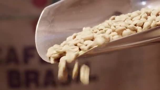 新鲜绿咖啡豆倾泻而出 — 图库视频影像