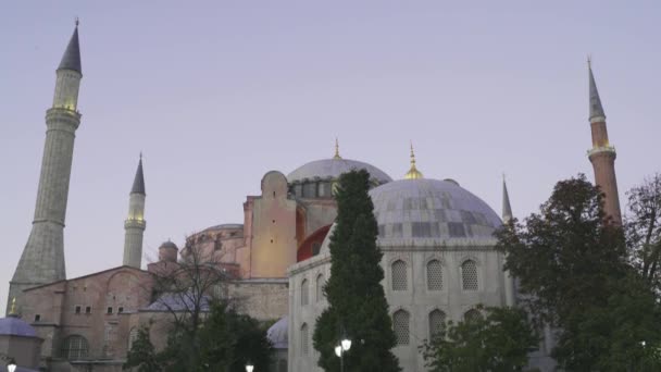 Istanbul Turkiet 2020 Hagia Sophia Pandemi Inhägnade Bär Människor Medicinska — Stockvideo