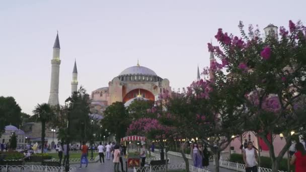 Istanbul Turquie 2020 Hagia Sophia Lors Une Pandémie — Video