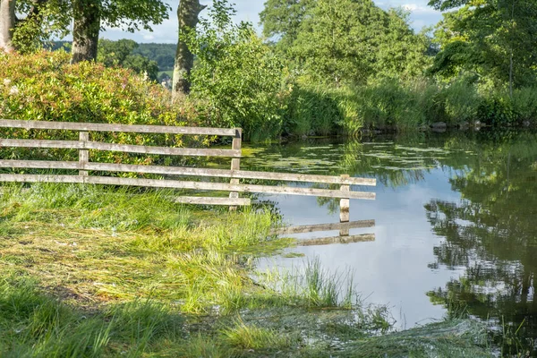 Çitin ve etrafındaki ağaçların yansımalarıyla dolu güzel bir kırsal göle batmış eski ahşap bir çitin yakın çekimi.