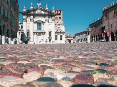 Çakıl ve yaprak arka plan