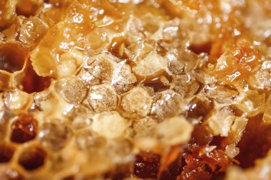 Bal peteğinde balı görebilirsin. 