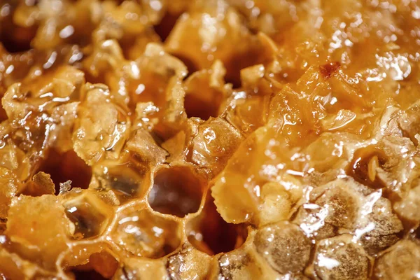 Bal peteğinde balı görebilirsin. 