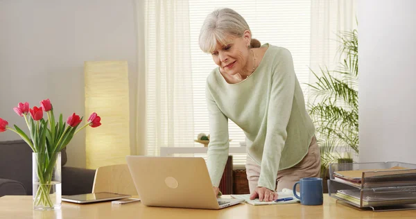 Senior Woman Laptop Computer Finances — Stock Photo, Image