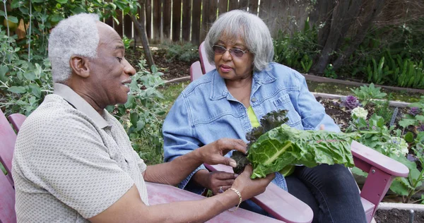 Elderly black couple talking about gardening