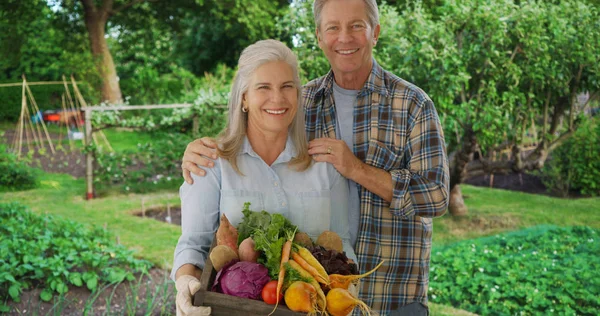 Senior Caucasian Couple Stands Proudly Produce Personal Garden Royalty Free Stock Photos