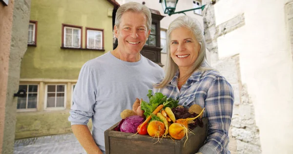 Beautiful White Senior Couple Carrying Hand Picked Vegetables Stock Image