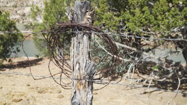 Dikenli tellerle sarılı eski ahşap çit sonrası yakın çekim