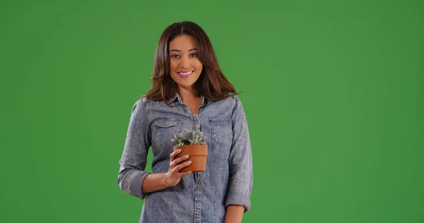 愉快的西班牙妇女在绿色屏幕上拿着小盆栽植物的画像 — 图库照片