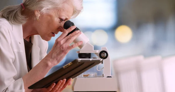 Dorosła Kobieta Naukowiec Notatki Komputerze Typu Tablet Używa Mikroskopu — Zdjęcie stockowe