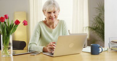 Dizüstü bilgisayar gülümseyen güzel kadın kıdemli