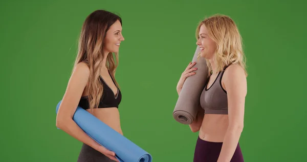 Två Härliga Passar Kvinnor Pratar Efter Yoga Övning Sportkläder Grön — Stockfoto
