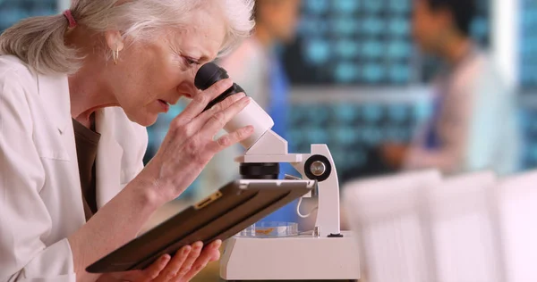 Senior Kobieta Notatek Komputerze Typu Tablet Zajęty Laboratorium Medycznego Badacza — Zdjęcie stockowe