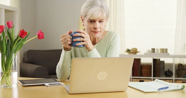 年配の女性のラップトップ コンピューター デスク笑顔 — ストック写真