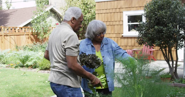 Senior African couple gardening in yard