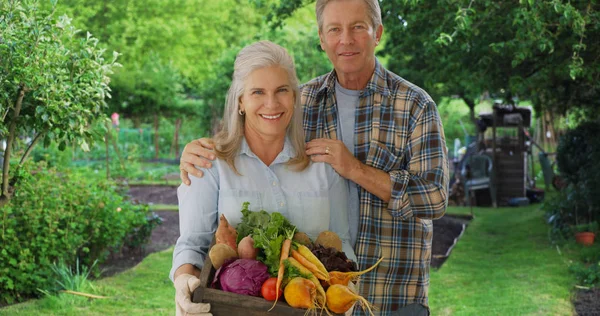 Happy Aged White Gardener Couple Stand Proudly Produce Private Garden Stock Photo