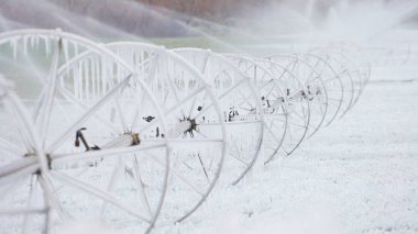 Eriyen buz çiftlik çim sulama ile sulama sistemi dondurulmuş