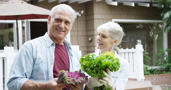 Seniorenpaar Lächelt Mit Gemüse Garten — Stockfoto