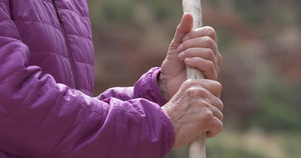 自然の木の杖を保持している古い女性ハイカーのタイトなショット — ストック写真
