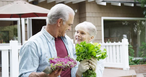 Senior couple smiling with vegetables in garden