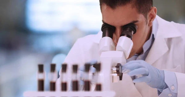 Hispanic male forensic scientist examining blood sample in lab
