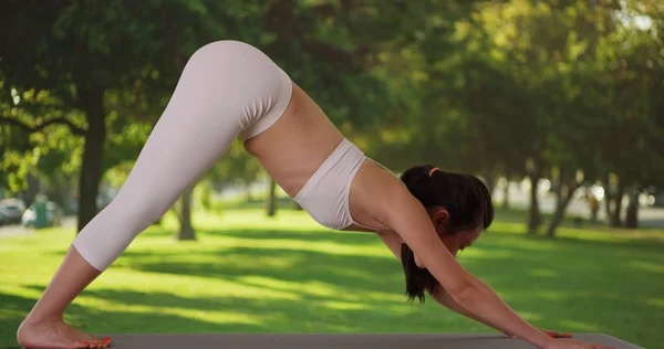 Pretty Asya Kadının Pratik Yoga Poz Açık Havada Park Yakın — Stok fotoğraf