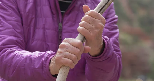 Närbild Äldre Kvinnas Händer Gripa Tag Trä Filial — Stockfoto