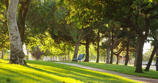 白天阳光明媚的公园和长凳 — 图库照片