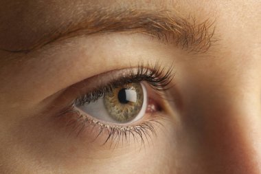 Göz, tam kare resmi Close-up 