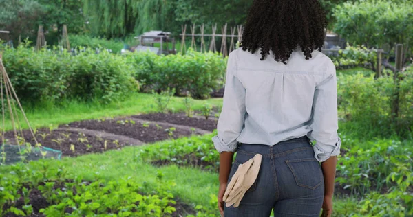 Rear view of black woman gardener looking over vegetable garden