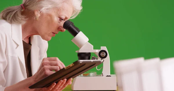 Ženské Výzkumník Pomocí Mikroskopu Zaznamenávání Údajů Tabletu Zelené Obrazovce — Stock fotografie