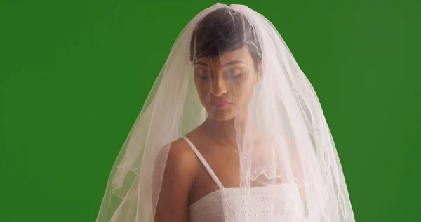 Retrato Noiva Elegante Posando Com Véu Cobrindo Rosto Tela Verde — Fotografia de Stock