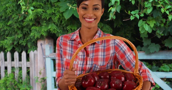 Cheerful black woman gardener carrying basket of apples