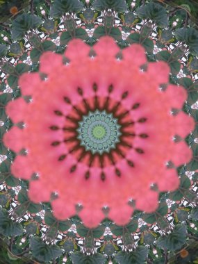 Çok güzel renkli bir kaleydoskop.