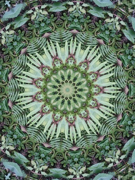 Velmi Krásný Barevný Kaleidoskop — Stock fotografie