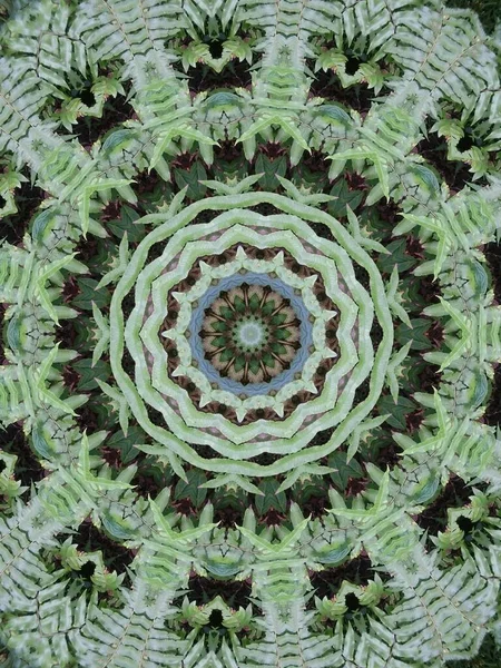 Ein Sehr Schönes Buntes Kaleidoskop — Stockfoto