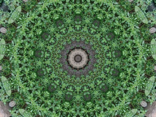 Ein Sehr Schönes Buntes Kaleidoskop — Stockfoto