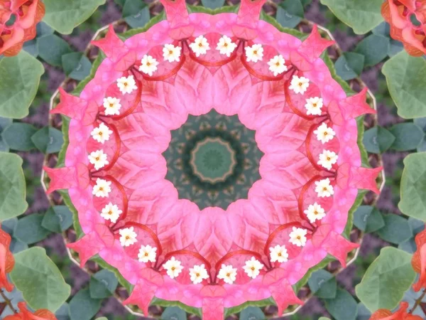 Very Beautiful Colorful Kaleidoscope — Stock Photo, Image