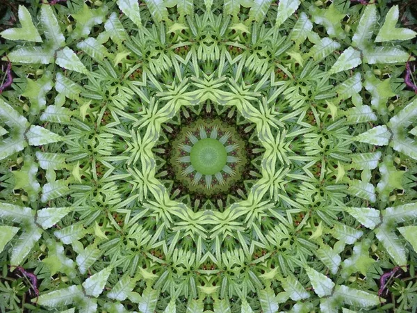 Ein Sehr Schönes Buntes Kaleidoskop — Stockfoto