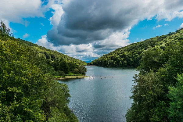 Güneşli bir günde, bir gölün kıyısından