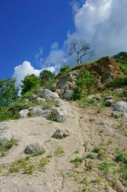 yaz, manzara, Doğa, göl, orman ve alan