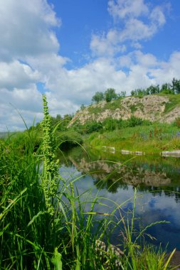 yaz, manzara, Doğa, göl, orman ve alan