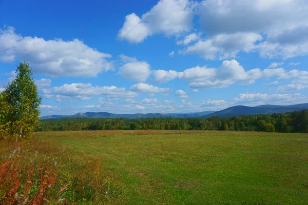 Vackra Landskapet Fält Skog Och Berg — Stockfoto